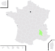 Biscutella laevigata subsp. lima proles polyclada (Jord.) Rouy & Foucaud - carte de répartition