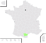 Biscutella scaposa Sennen ex Mach.-Laur. - carte de répartition