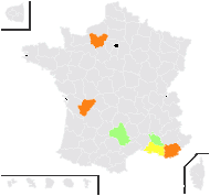 Brassica nova Winterl - carte de répartition