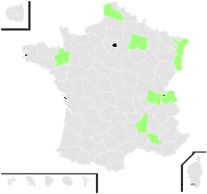 Sinapis patens Roxb. ex Hook.f. & Thomson - carte de répartition