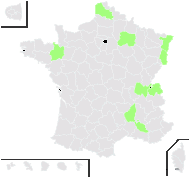 Brassica juncea (L.) Czern. - carte de répartition