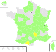 Brassica pseudocolza H.Lév. - carte de répartition