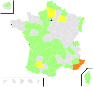 Brassica rapa Metzg. - carte de répartition