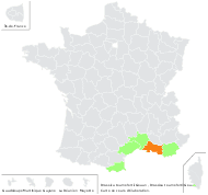 Brassica tournefortii Gouan - carte de répartition