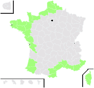 Cakile maritima Scop. - carte de répartition