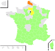 Calepina irregularis (Asso) Thell. - carte de répartition