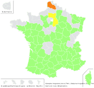 Calepina irregularis (Asso) Thell. - carte de répartition