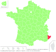 Cardamine pratensis L. - carte de répartition