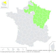 Arabidopsis arenosa (L.) Lawalrée - carte de répartition