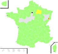 Cheiranthus bocconei All. - carte de répartition