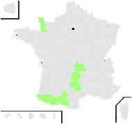 Cochlearia officinalis subsp. pyrenaica (DC.) Rouy & Foucaud - carte de répartition