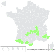 Sinapis cheiranthos var. corbariensis (Timb.-Lagr.) Rouy & Foucaud - carte de répartition