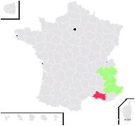 Rhynchosinapis richeri (Vill.) Heywood - carte de répartition