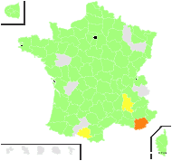 Lepidium squamatum Forssk. - carte de répartition