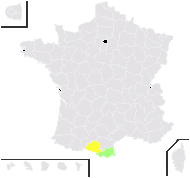Draba aizoides proles bertolonii (Nyman) Rouy & Foucaud - carte de répartition