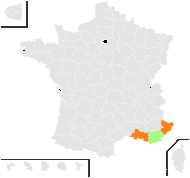 Ballimon muricatus (L.) Raf. - carte de répartition