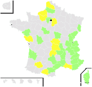 Draba verna var. patula (Jord.) Rouy & Foucaud - carte de répartition