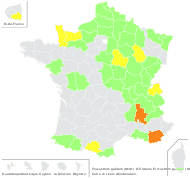 Erucastrum gallicum (Willd.) O.E.Schulz - carte de répartition