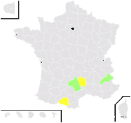 Erysimum incanum subsp. aurigeranum (Jeanb. & Timb.-Lagr.) O.Bolòs & Vigo - carte de répartition