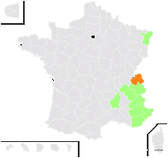 Erysimum segusianum Jord. - carte de répartition