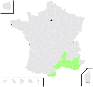 Hesperis laciniata subsp. spectabilis (Jord.) Rouy & Foucaud - carte de répartition