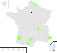 Hesperis candida Kit. ex Schulzer, Kanitz & Knapp - carte de répartition