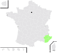 Hormathophylla ligustica (Breistr.) Španiel, Al-Shehbaz, D.A.German & Marhold - carte de répartition