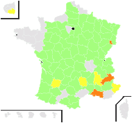 Iberis amara subsp. affinis var. ceratophylla (Reut.) Foucaud & Rouy - carte de répartition