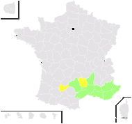 Iberis cretica L. - carte de répartition