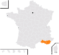 Ionopsidium acaule (Desf.) Rchb. - carte de répartition