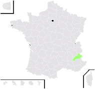 Isatis alpina Vill. - carte de répartition