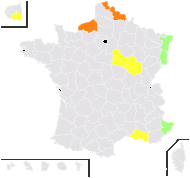 Crucifera diversifolia E.H.L.Krause - carte de répartition