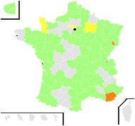 Nasturtiastrum ruderale (L.) Gillet & Magne - carte de répartition