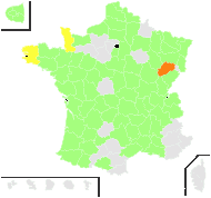 Lepidium virginicum L. - carte de répartition