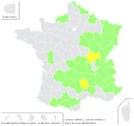 Lunaria rediviva L. - carte de répartition