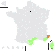 Hesperis pumila Poir. - carte de répartition