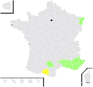 Matthiola fruticulosa (L.) Maire - carte de répartition