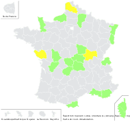 Rapistrum rugosum subsp. orientale (L.) Arcang. - carte de répartition