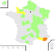 Nasturtium ×anceps n-var. grande Rouy & Foucaud - carte de répartition