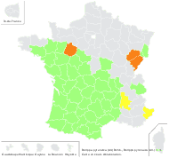 Rorippa pyrenaica (All.) Rchb. - carte de répartition