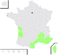 Ferula lobeliana Vis. - carte de répartition