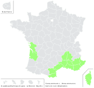 Ferula communis L. - carte de répartition