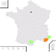 Sinapis pubescens L. subsp. pubescens - carte de répartition