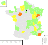 Sisymbrium altissimum L. - carte de répartition
