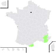 Sisymbrium glaucescens Jord. - carte de répartition