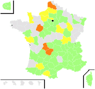 Phryne laxata Bubani - carte de répartition