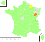 Meum foeniculum (L.) Spreng. - carte de répartition