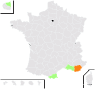 Sisymbrium villosum Lag. ex Spreng. - carte de répartition