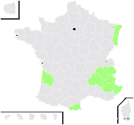 Noccaea alpestris subsp. sylvium (Gaudin) Kerguélen - carte de répartition