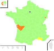 Lepidium thlaspi Roxb. - carte de répartition